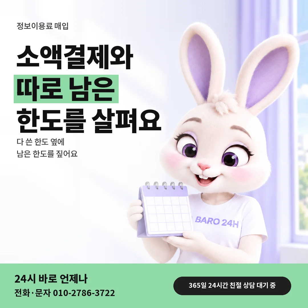 달력을 든 BARO 24H 티셔츠를 입은 3D 토끼 캐릭터 옆에 「정보이용료 매입 두 한도 안내」 제목을 얹은 안내 카드